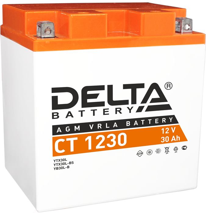 Аккумулятор DELTA Battery AGM YTX30L-BS CT 1230 (12В, 30А/ч)