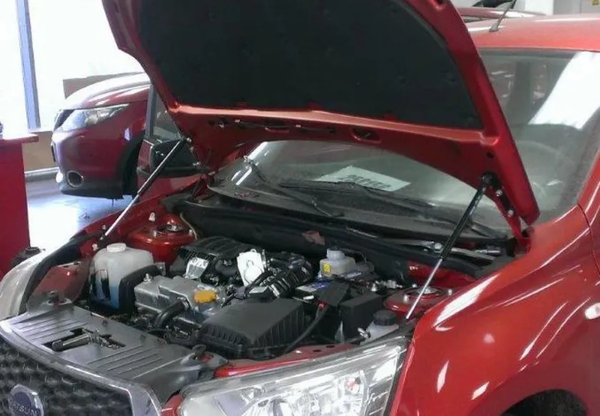 Амортизаторы (упоры) капота Berkut для Datsun on-DO 2014-2020