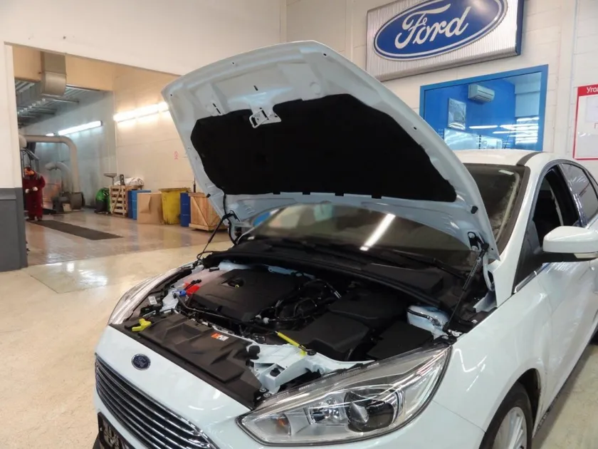 Амортизаторы (упоры) капота Berkut для Ford Focus 3 2014-2016