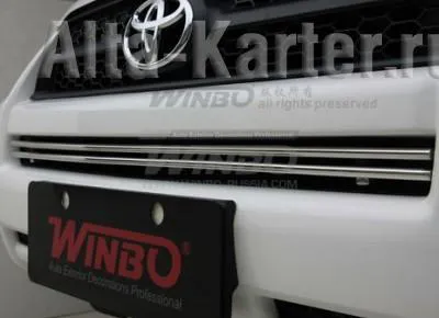 Решётка Winbo переднего бампера для Toyota RAV4 III 2009-2010