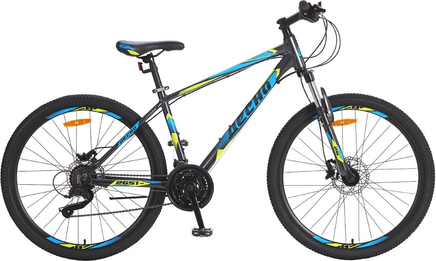 Велосипед 26 горный ДЕСНА 2651 D (2019), серый/синий LU082374