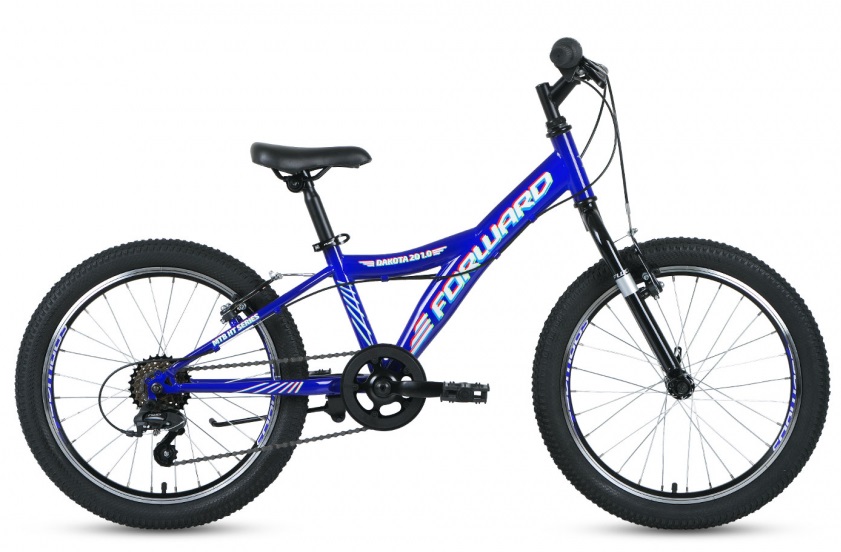 Велосипед 20 Forward Dakota Синий/Белый, RBKW01N06010